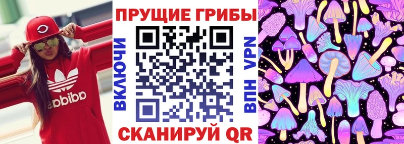 omg ONION  купить  цена  Арсеньев  Галлюциногенные грибы Cubensis 